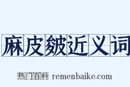 麻皮皴近义词是什么意思的图片